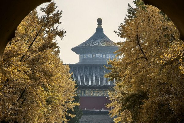 《更2饺子在地上做》全集免费观看-HD高清完整版-袁记影视