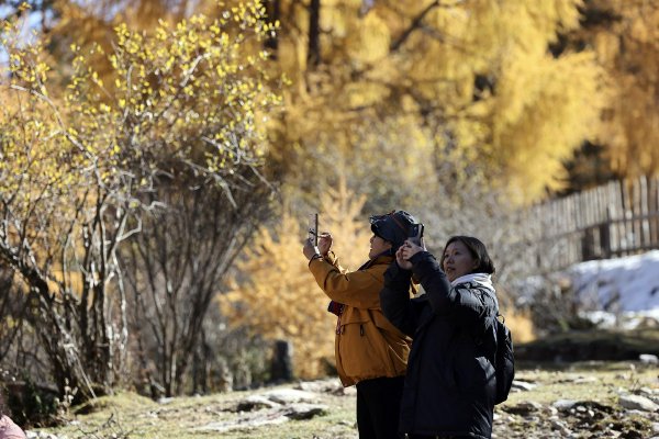 黄瓜视频 草莓 丝瓜安卓正式版v21.7.7118APP下载