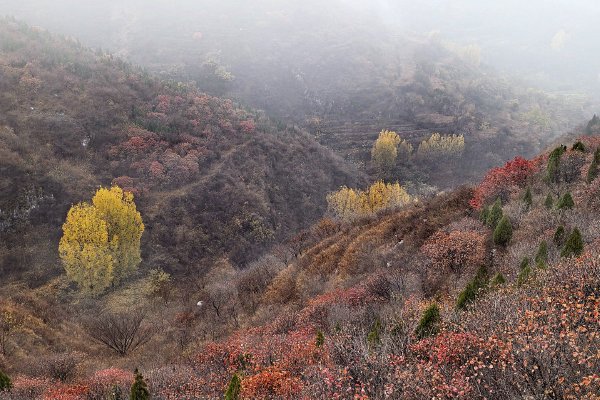 《哥布林的巢穴》在线观看，畅享1080P高清未删减版，尽在合贝思影院