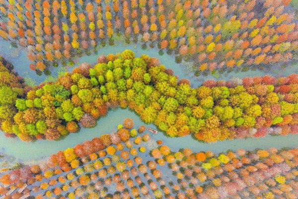 代购,律师,保健品,不老药,假冒产品,职业打假人,女子代购“不老药”被起诉退一赔十