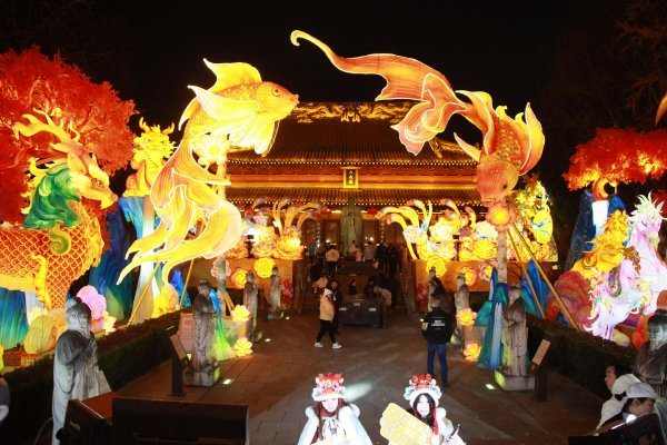 ��Ʒ,�ݲ�,״ʦ,�����,�����,�����г�,�Ͼ�����Ժ