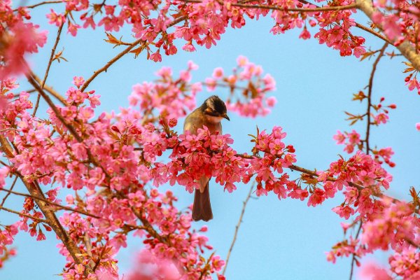 ��ڵڶ����������Ů��ʿ����ˮ�������ڶ�����Զֱ���ƹ�����������ɷ�ȫ����ͬ