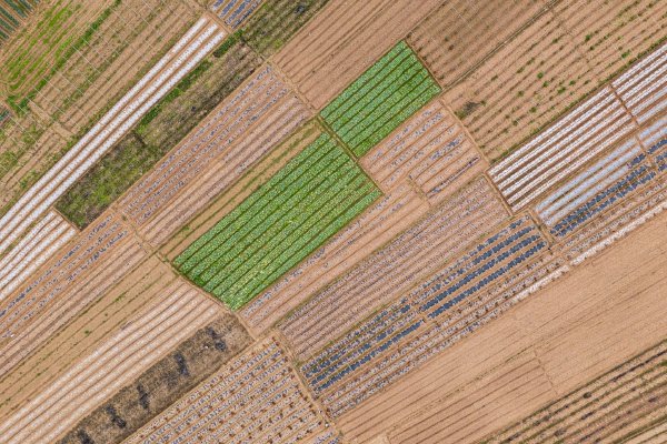 伊朗战事导致英国央行下一次降息被迫暂停示意图