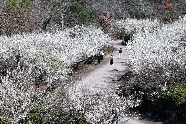 大宗商品指数飙升至历史新高 战争引发石油、金属等普涨