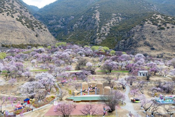 多毛老熟女-成熟韵味与浓密毛发的奇异魅力比照图