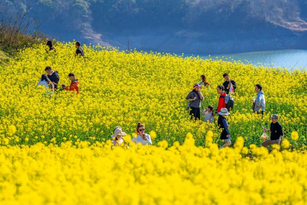 黄金、白银，，，，直线拉升！特朗普称将切断美国和西班牙商业往来！中东，，，，最新！