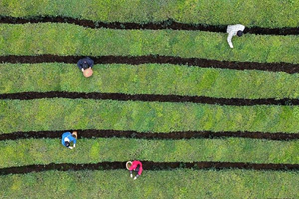 特斯拉2月份欧洲销量同比增添10%示意图