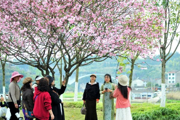 2026年3月7日海内生猪价钱一览