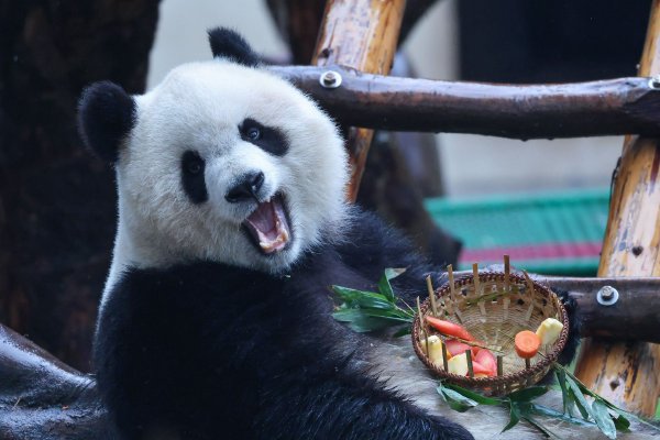 K型苏醒经济加剧女性压力：：薪资偏低、生涯本钱高企导致消耗缩减示意图