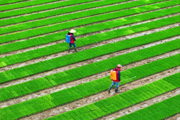 两会今日看点：：民生主题记者会上午举行