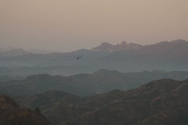 kzaobao.com ? 联合中文网-南略网效果图