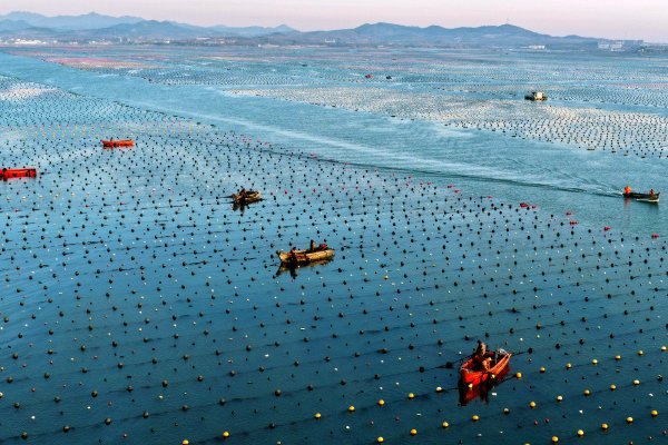 天鸽互动公众持股量约为20.85%