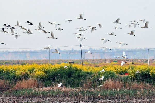 美国2月二手房销售意外增添