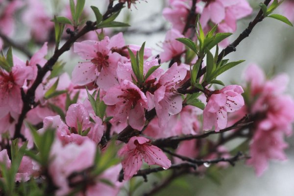 美国2月妄想裁人人数大幅下降示意图