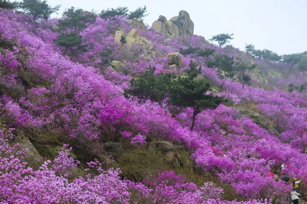 去年Q3增收不增利、2月交付量环比大跌，，，赛力斯最先过苦日子示意图