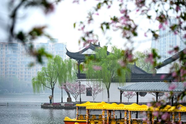 桃红天下”-一场虚拟与现实交织的奇幻冒险渲染图