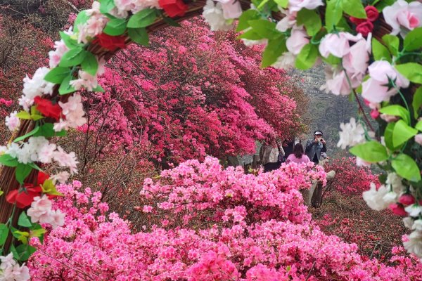 全球化肥市场承压，，，，霍尔木兹海峡航运受扰示意图