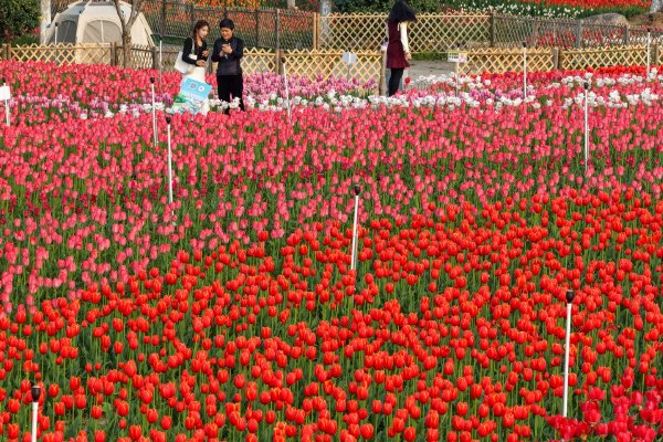 协同通讯拟折让约20.0%配售最多10亿股配售股份 净筹约1.07亿港元