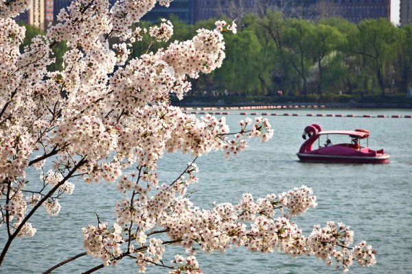 中金公司：伊朗时势怎样影响市。。。？示意图