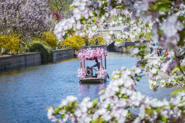 Ӫ��1339������ߣ�����ͨѶ2025�걨������������������Ӫҵ����쭡�150%