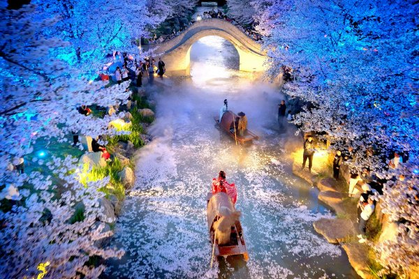 ����չ���г����������ս����Ѻע������ǿ���赲