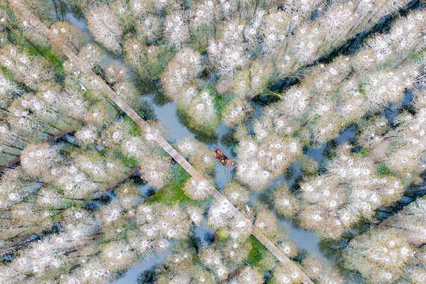 �׹�������ҩ�������� �����ճƷ����ͷ���Ѳ������������������ʾ��ͼ