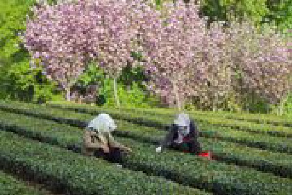 ����Σ���Ӿ�֮�� ŷԪ��ͨ���������