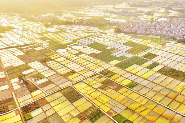 2������ҵPMI���ݳ�¯ ����������ҵ��������һ��չ��