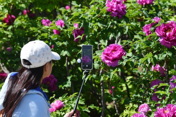 �ഺ����������������������Щ������ЭίԱ����Ϊ��һ�˹�˾���ṩȫ������ҵ֧��