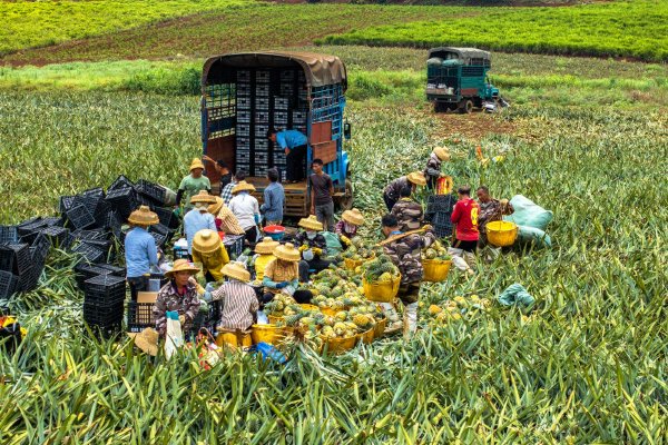 �ƽ𡢰���������������ֱ������������ȫ���˰���ж������������������ţ�