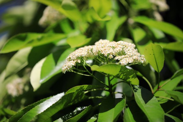 25card�й���ѧ������Ƶ- ���ڶ����У�ľ���˲��-���Ʒչʾ