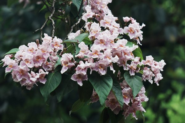 ��������ʿ�޳���ǩ˫��Ǯ�ҽ���Э��