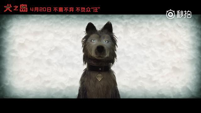 【韦斯·安德森动画电影《犬之岛》曝原片片段】韦导素来以"完美.