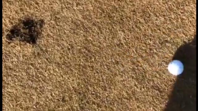 正在直播2018乒乓球世界团体锦标赛,男团小组