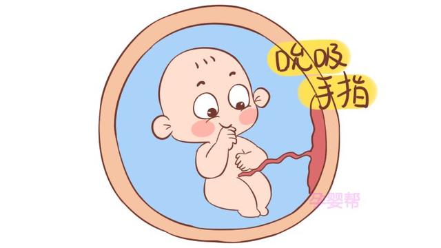 需要满足这5个条件|胎儿|羊水|翻身_新浪新闻