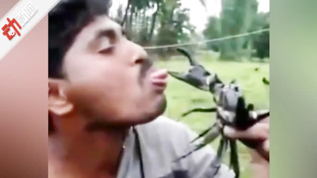 男子伸舌头“挑衅”螃蟹：它一钳子下去 结果悲剧了