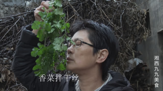 『湘西九九,九九提前过双十一,一道凉菜拌冷饭-公主坟的秒拍视频』