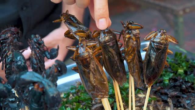 两位网红在越南一起比赛吃"油炸蟑螂",比贝爷还要厉害