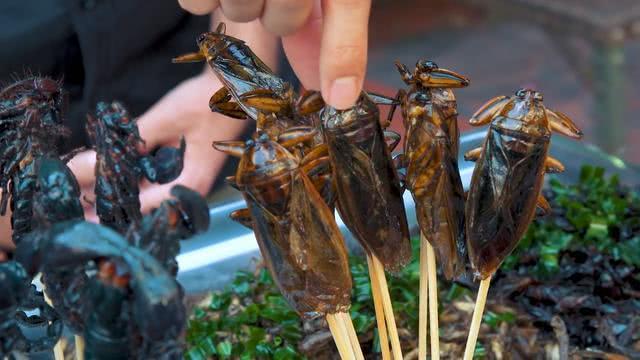 两位网红在越南一起比赛吃"油炸蟑螂",比贝爷还要厉害