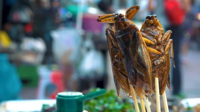 两位网红在越南一起比赛吃"油炸蟑螂",比贝爷还要厉害