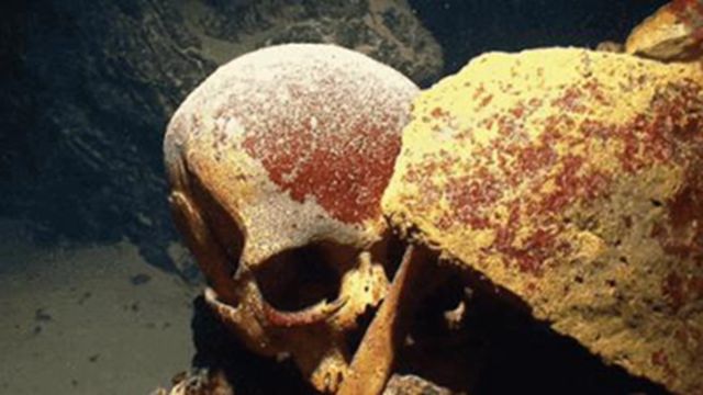 在下潜至水底时,潜水灯意外的照射到了十几具尸骨,这些尸骨都被铁链