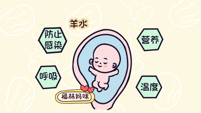 羊水|胎兒|孕晚期_新浪新聞