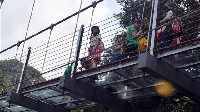 玻璃桥变走光桥桥底风景独特女生穿裙真吃亏