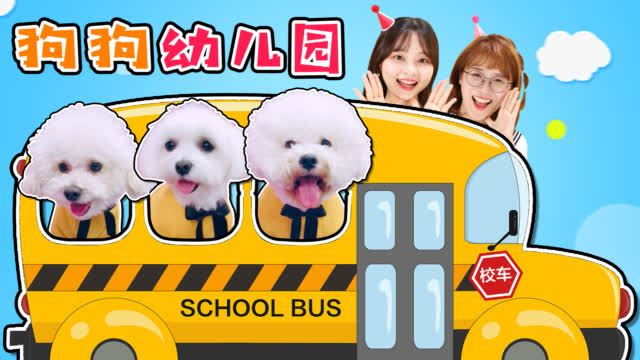 狗狗上幼儿园了?汪星人也逃不过升学压力! ()