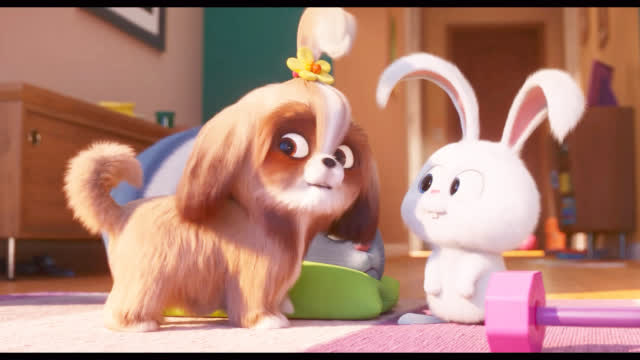 so cute!《爱宠大机密2》曝光一支全新预告:一只叫雪球的兔兔