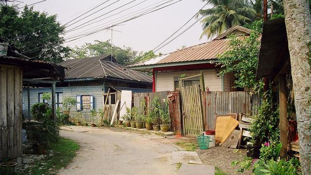 新加坡唯一的农村,农家生活中的花花草草,让人赏心悦目幸福满满