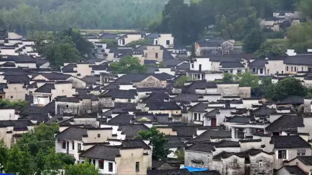 中国乡土建筑|祠堂|浙江|建筑_新浪新闻