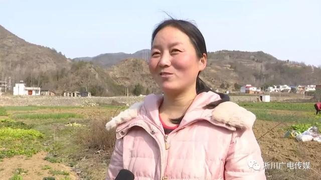 【决战决胜2019】淅川杨朵：扶贫路上 勇挑重担 巾帼不让须眉