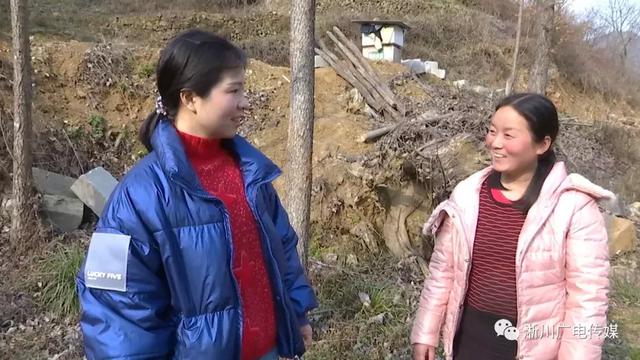 【决战决胜2019】淅川杨朵：扶贫路上 勇挑重担 巾帼不让须眉