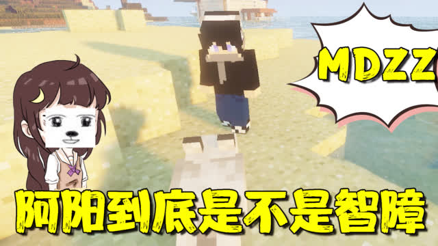 阿阳在沙滩捡到一条狗,费劲心机为它找主人却反被小月骂智障?